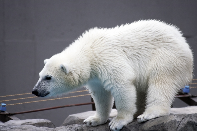 11e7fb70bbffa0c1b626857e70efaa2b_s